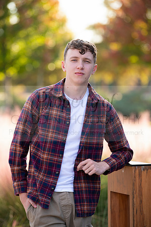 GLD_9343