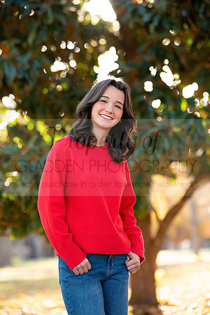 GLD_5331