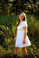 GLD_3566