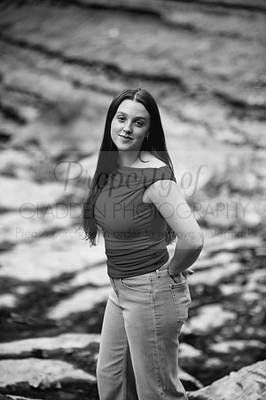 GLD_3997