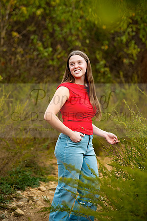 GLD_4099