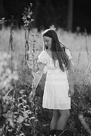 GLD_3516