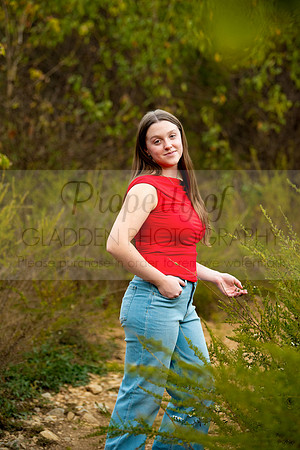 GLD_4098