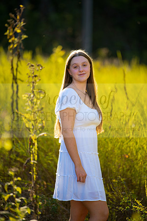 GLD_3515