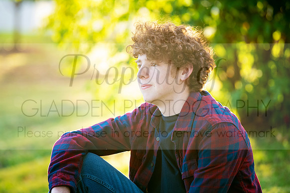 GLD_3354