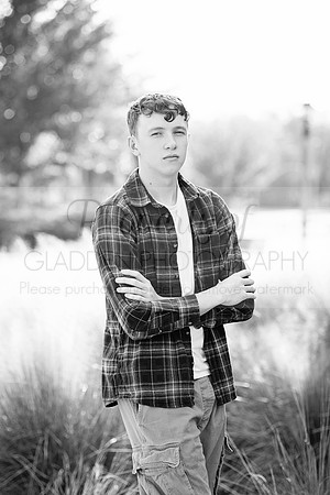 GLD_9352