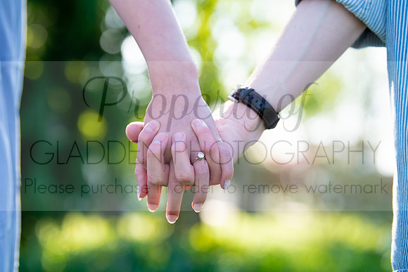 GLD_3354