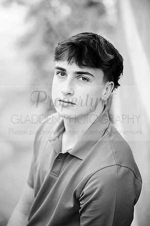 GLD_8453