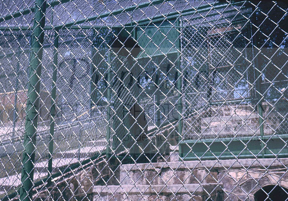 c113