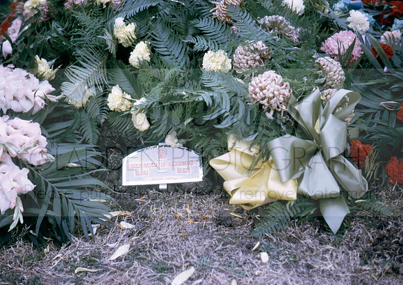 e136