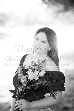 GLD_9525