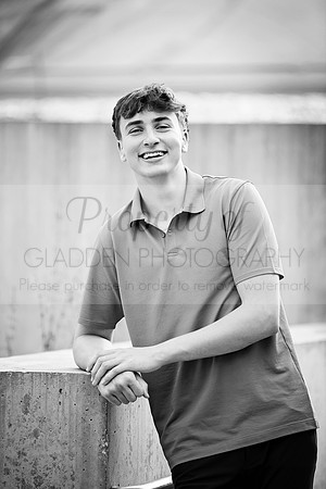 GLD_8373