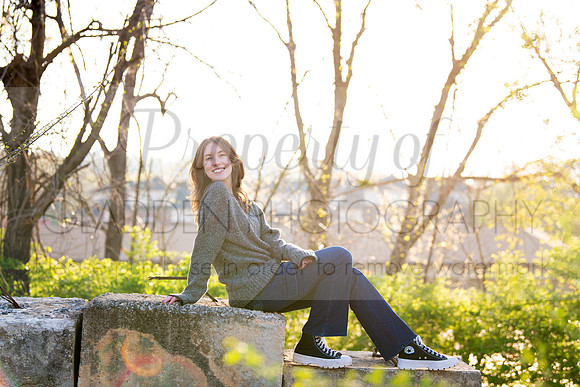 GLD_3206