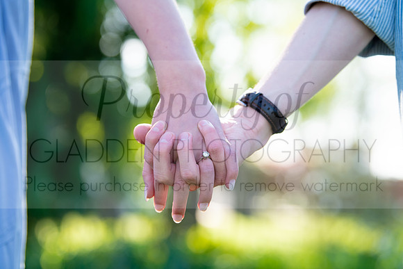 GLD_3353